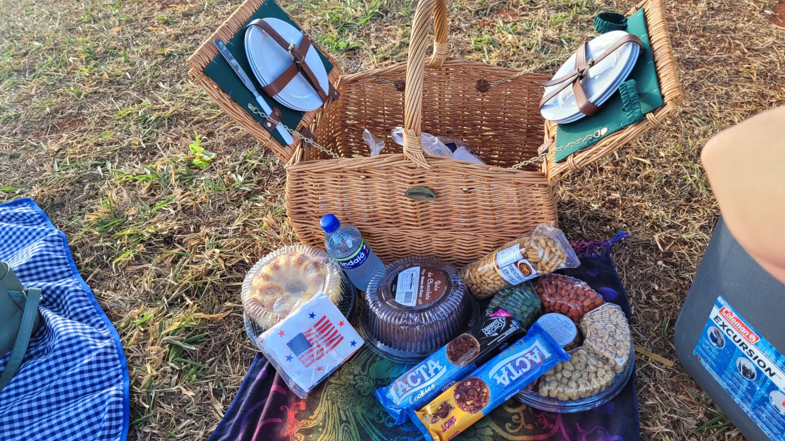 English Immersion Picnic and Croquet Natural Language Institute