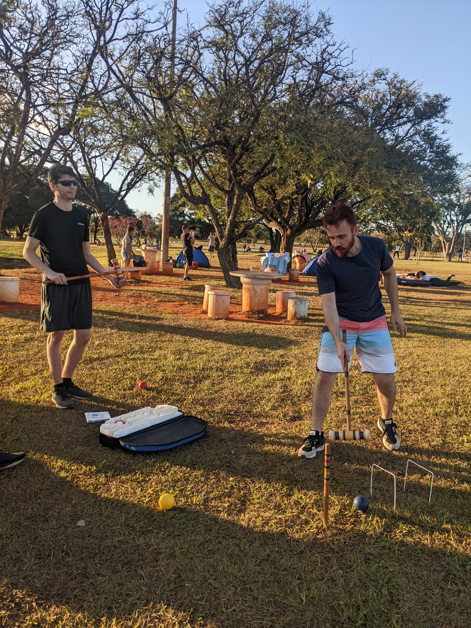 English Immersion Picnic and Croquet Natural Language Institute